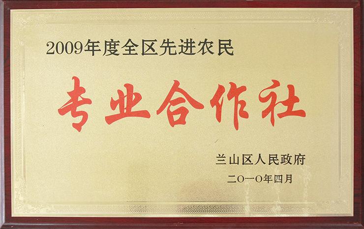 全區先進(jìn)農民專(zhuān)業(yè)合作社